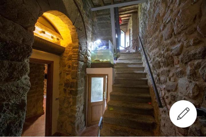 Elettra Flower Apartment Montecatini Val di Cecina Exterior photo
